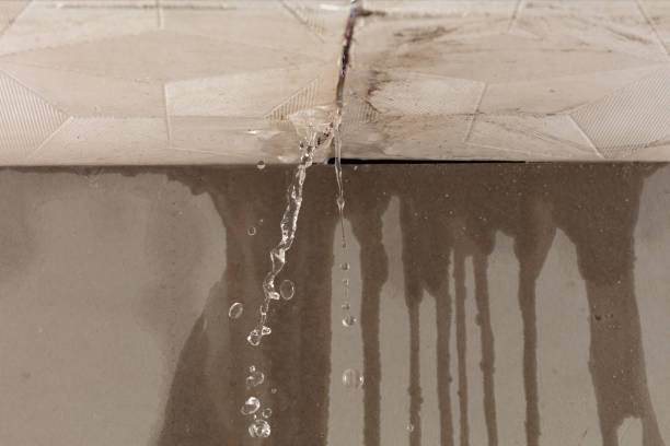 Professional Structural Drying technician working in North Sandwich, NH